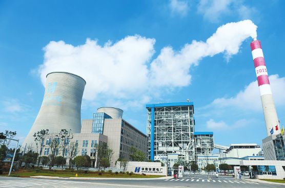華能安源電廠